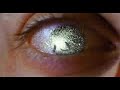 Spider-Man - Trailer