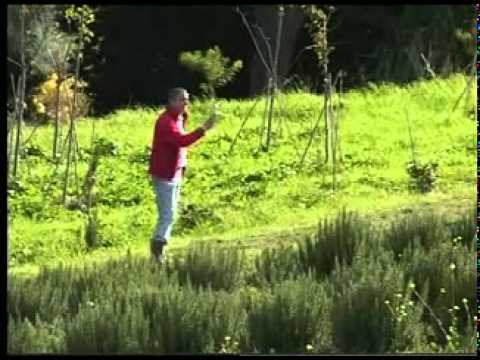 Flora Srl - Pisa - GEO & GEO