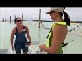 andiamo! - Disney Cruise Line - Castaway Cay & Stingrays
