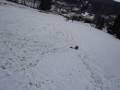 videos de traitre