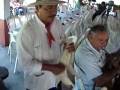 videos de Quijada de Burro