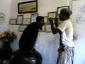 كوبرا الحوري المركز الثقافي
