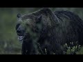 Vincent Munier testing the Nikon D3s during a two-week assignment in Finland.