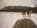 training janvier traineau 003.mov