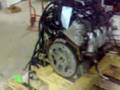2005 Chevy 5.3L with 4l60E Tranny