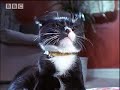 Unseen world - BBC