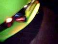 dads tvr tamora flameing