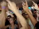 islander boat cruise dlux djs, stafford brothers