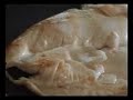 Nonna Stella - Lezione 22 video corso cucina barese