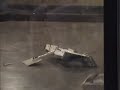 Battle Beach 4: Orca vs. Conniption