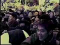 Cow Cow - Tokio Riot