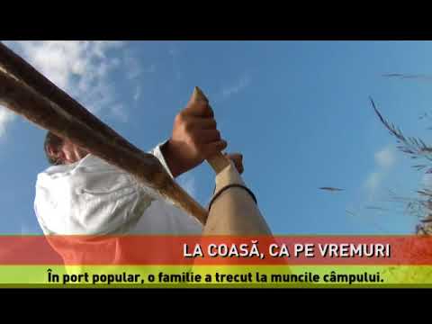 La coasă, ca pe vremuri