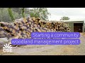 Biomass woodland management: things to consider before starting a project