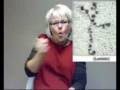 Laminin Message in ASL