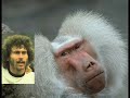 Paul Breitner Parodie Paul Breitner Parodie