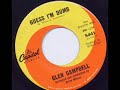 Glenn Campbell (Brian Wilson production) - Guess I'm Dumb (Stereo Remix)