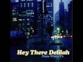 Hey There Delilah -Plain White T's