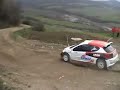 Dedo prova la Peugeot 207 S2000 su terra