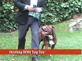 See video
