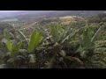 Tepecoyo  2