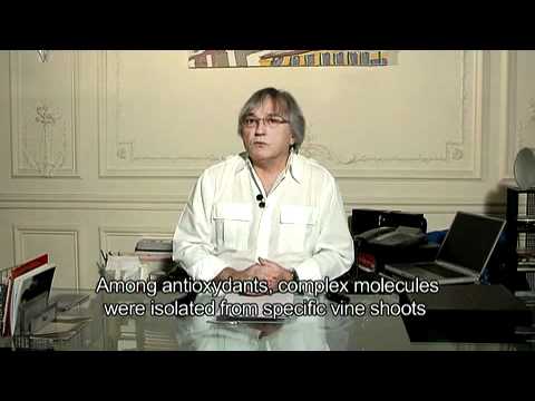 Vid�o de Max Santoul
