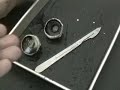 Eye Dissection Eye Dissection