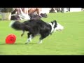 Blade and Tracy at Skyhoundz Worlds 08!