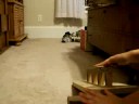 Ruby Tech Deck 1