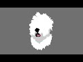DLR_1.mp4 DLR_1.mp4