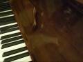videos de Re: Stop Hunger Internationally Together