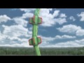super-smash-bros-brawl-foxs-misfortune.html
