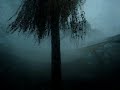 Cyclonic storm in Brisbane