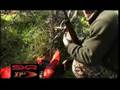 Carabine Winchester semi-automatique SXR Vulcan & munition XP3