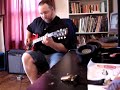 Peavey Valve King 212