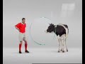 wie-heeft-huntelaar-nodig.html