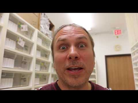 YouTube reptile video