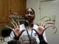 VJ's Long Nails VJ's Long Nails