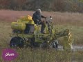 Cranberry Harvest Cranberry Harvest