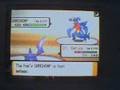 Wifi Battle vs Pokemonsaga