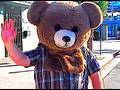BEAR HEAD! (8/20/09-169)