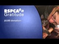 RSPCA Qld Gratitude Program