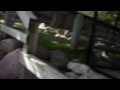 Thumbnail #2
