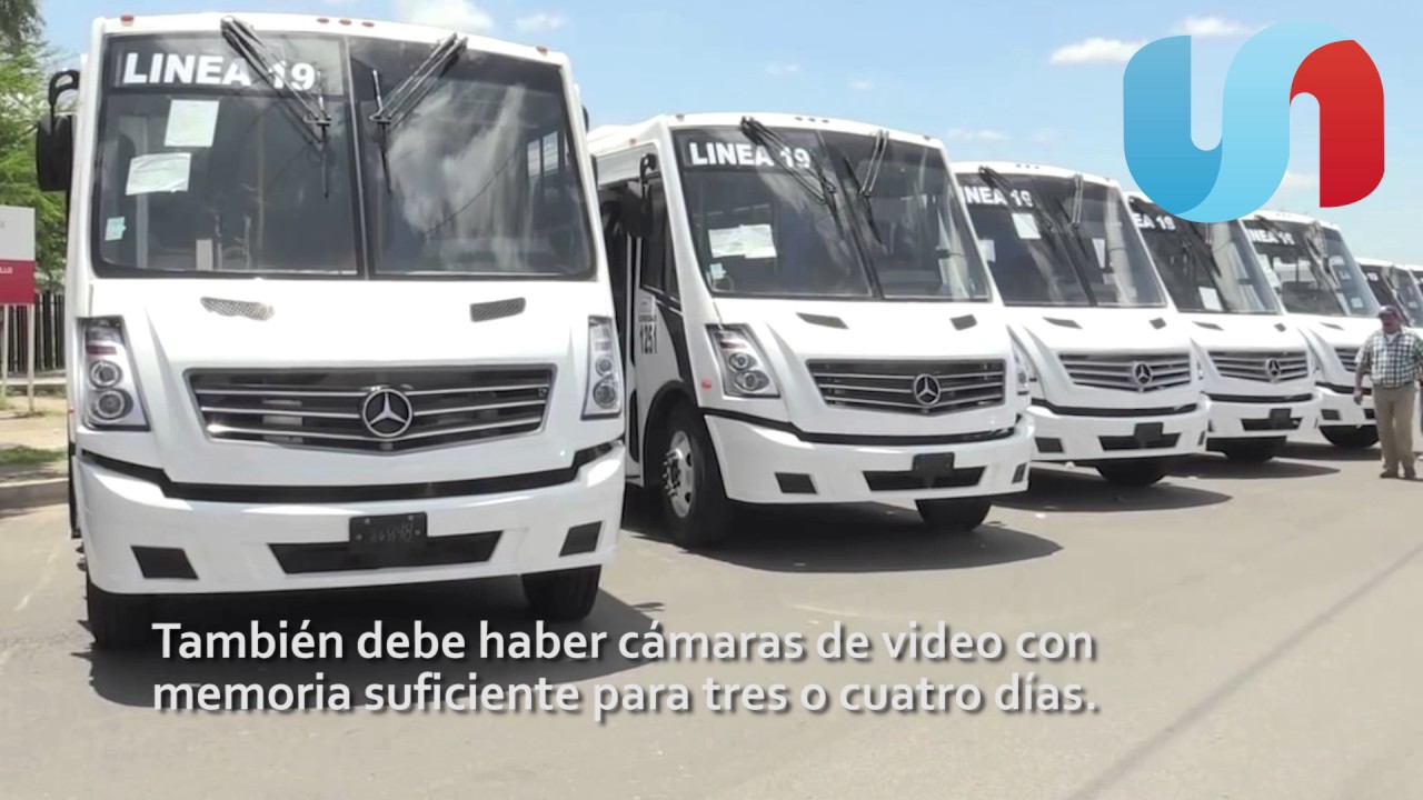 Dan plazo de cuatro meses para mejorar transporte urbano