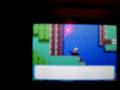 How to Find and Catch a Feebas- narrative