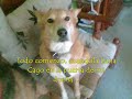 -The Eye- Episodio 01