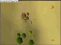 Runescape hunting guide, part 8 smokeing your traps
