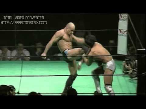 Bas Rutten Highlights