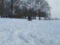 snow fun snow fun