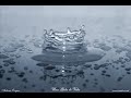 El Aplastamiento de las Gotas  Julio Cortazar