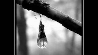 Día de Lluvia
